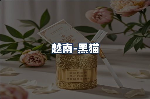 越南黑猫